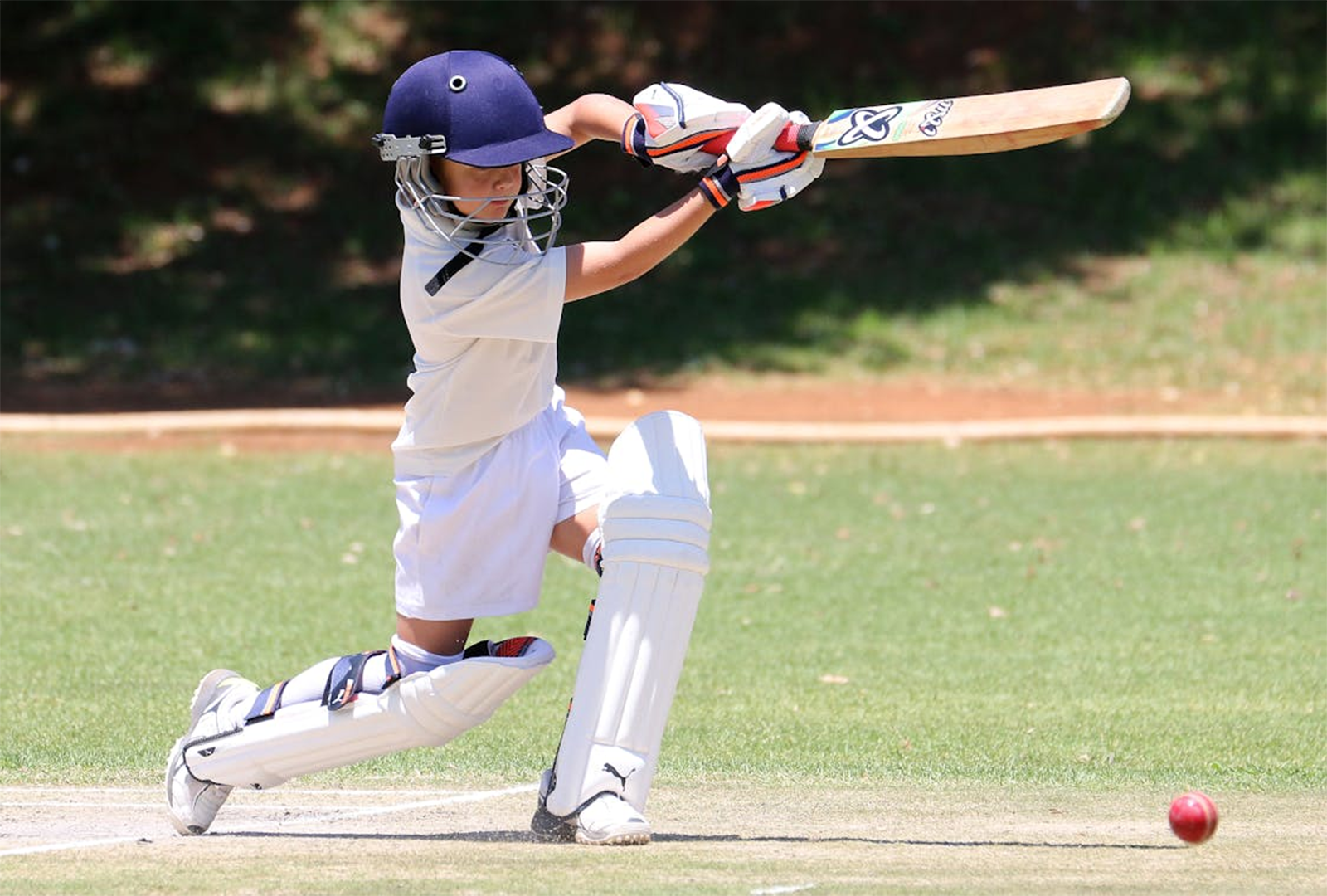 Mansfield Cricket Club training session